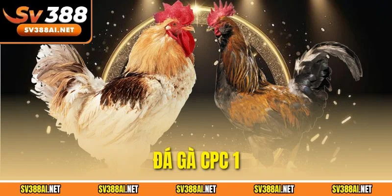 Đá Gà CPC 1 - Trang Web Chính Thức, Cập Nhật Link Vào Mới Nhất 2025