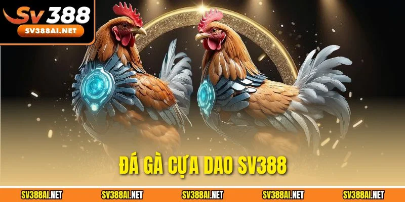 Đá Gà Cựa Dao SV388 – Đấu Trường Gà Online Hấp Dẫn Nhất 2025