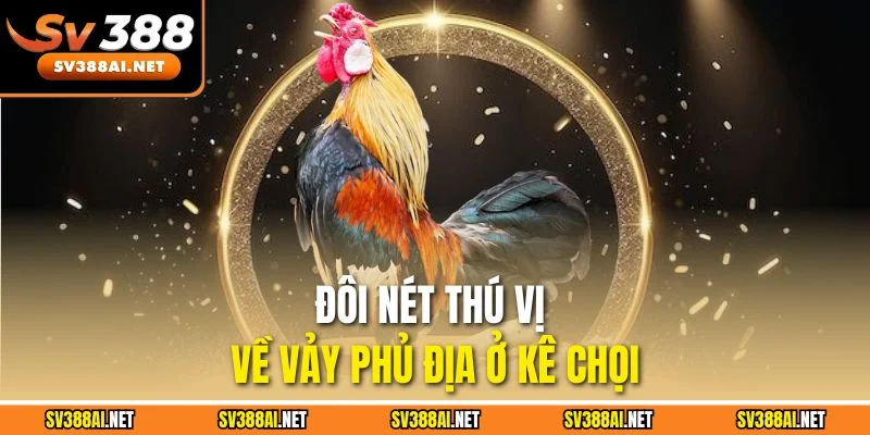 Đôi nét thú vị về vảy phủ địa ở kê chọi