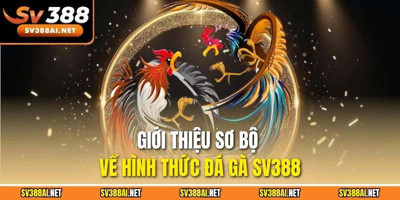 Giới thiệu sơ bộ về hình thức đá gà SV388