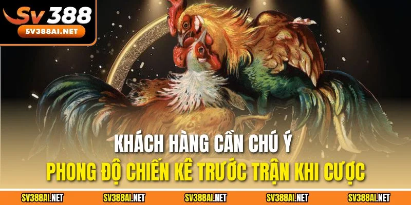 Khách hàng cần chú ý phong độ chiến kê trước trận khi cược