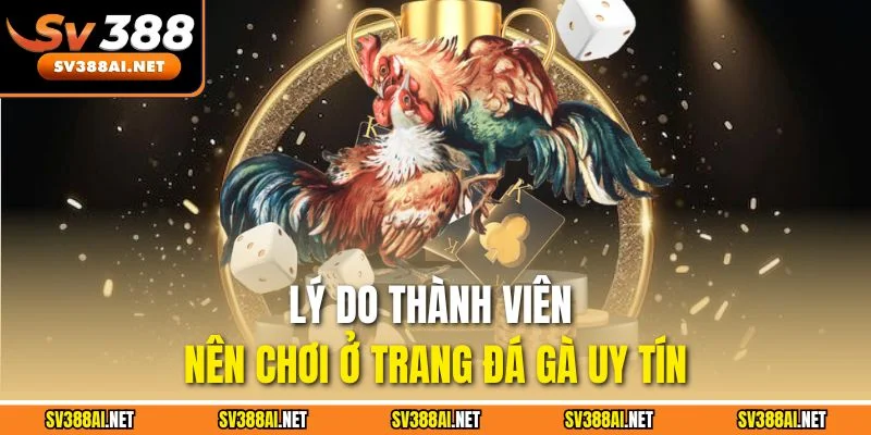 Lý do thành viên nên chơi ở trang đá gà uy tín