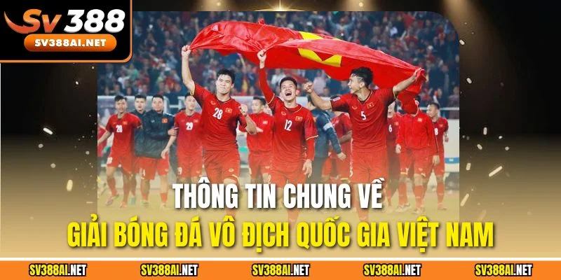 Thông tin chung về giải bóng đá vô địch quốc gia Việt Nam Thông tin chung về giải bóng đá vô địch quốc gia Việt Nam