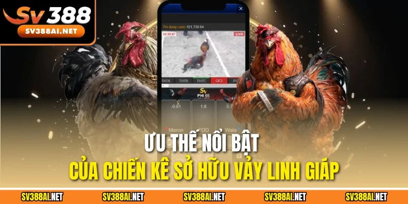 Ưu thế nổi bật của chiến kê sở hữu vảy linh giáp